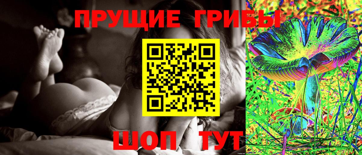 Псилоцибиновые грибы ЛСД  дарнет шоп  Псилоцибиновые грибы мицелий  Егорьевск  Вход с VPN 