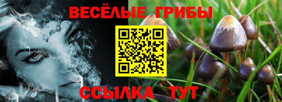 Галлюциногенные грибы Cubensis Егорьевск
