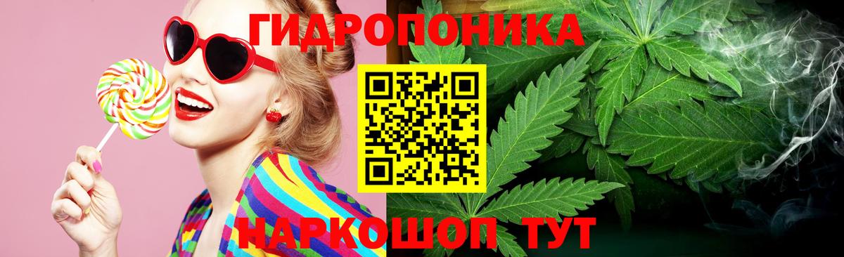 Бошки Шишки марихуана  Вход с VPN  Канабис планчик  Егорьевск  МАРИХУАНА THC 21% 
